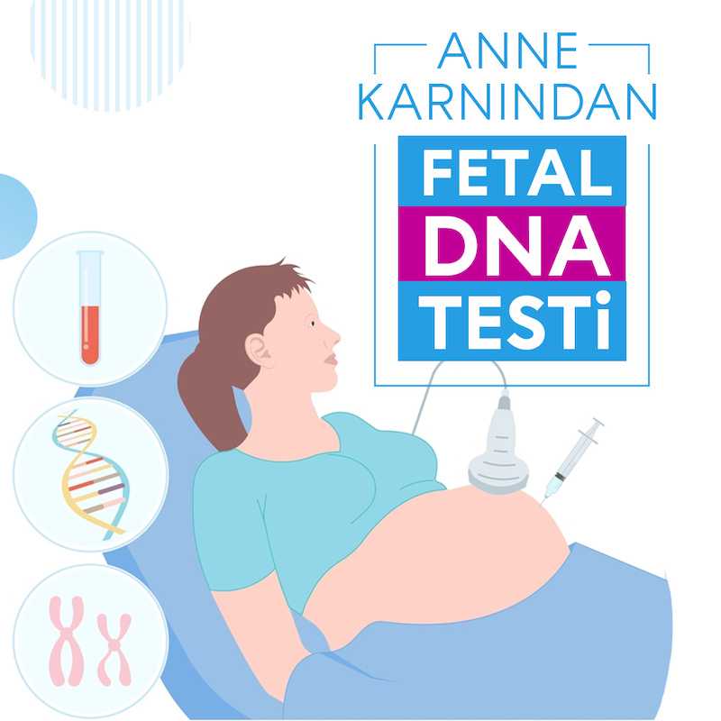 fetal dna testi anne karnında